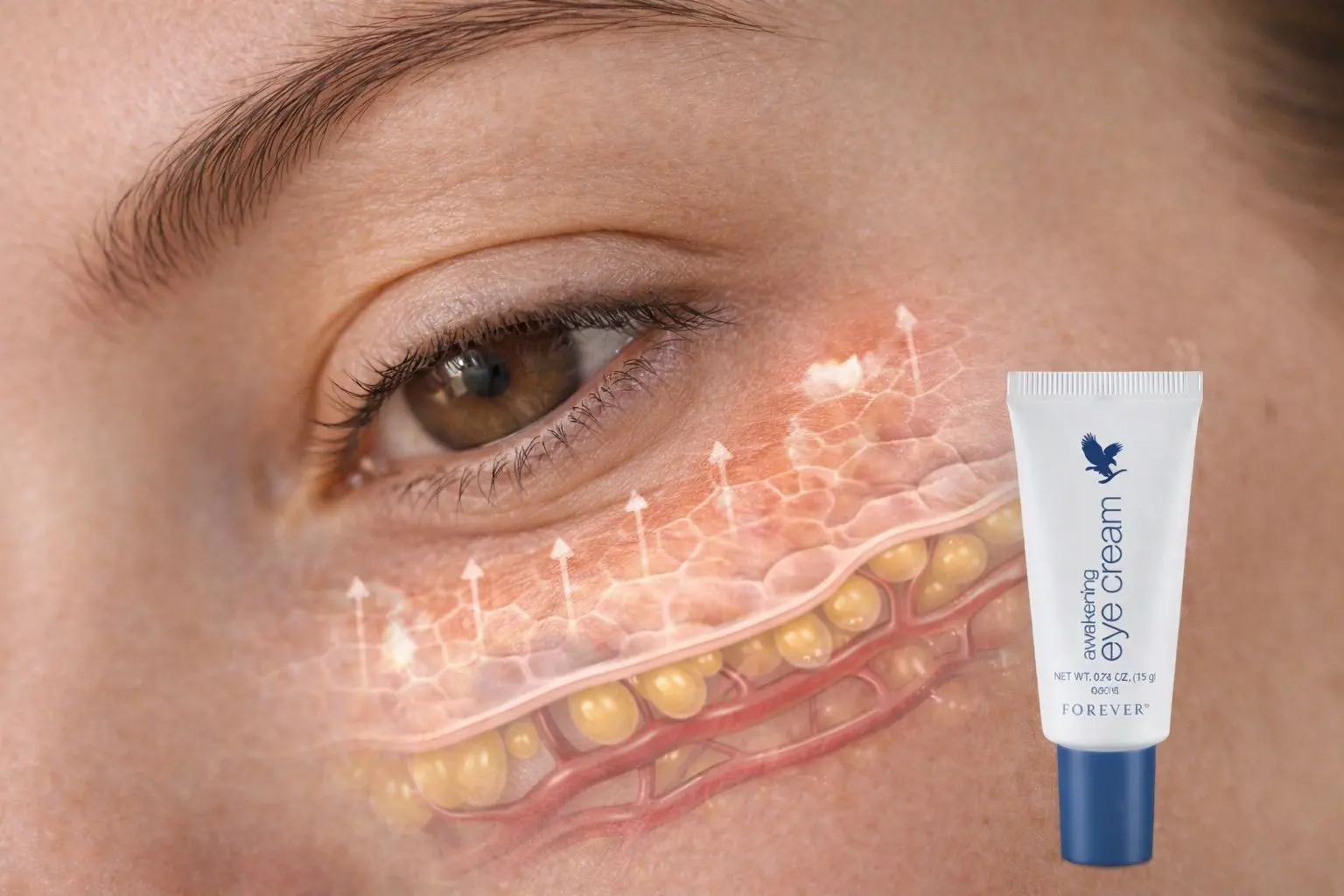 Awakening Eye Cream – dodatkowe zdjęcie